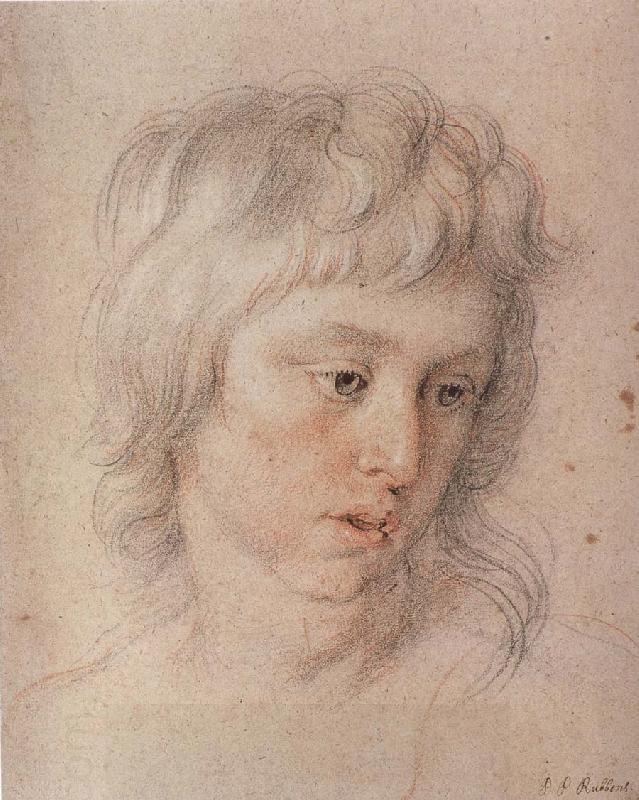 Peter Paul Rubens Baladi-s son oil painting picture